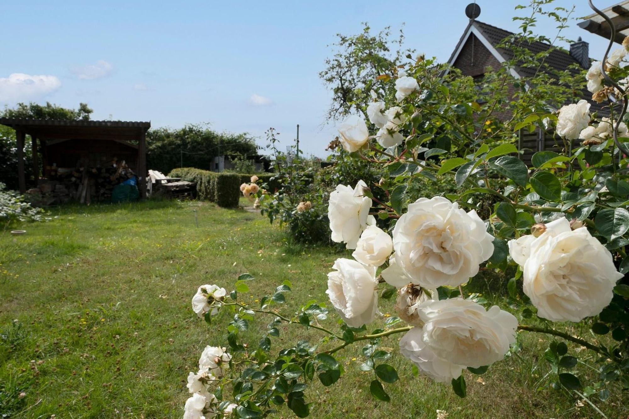 하프크루그 Haus Waldfrieden Ferienhaeuschen Waldfrieden 아파트 외부 사진